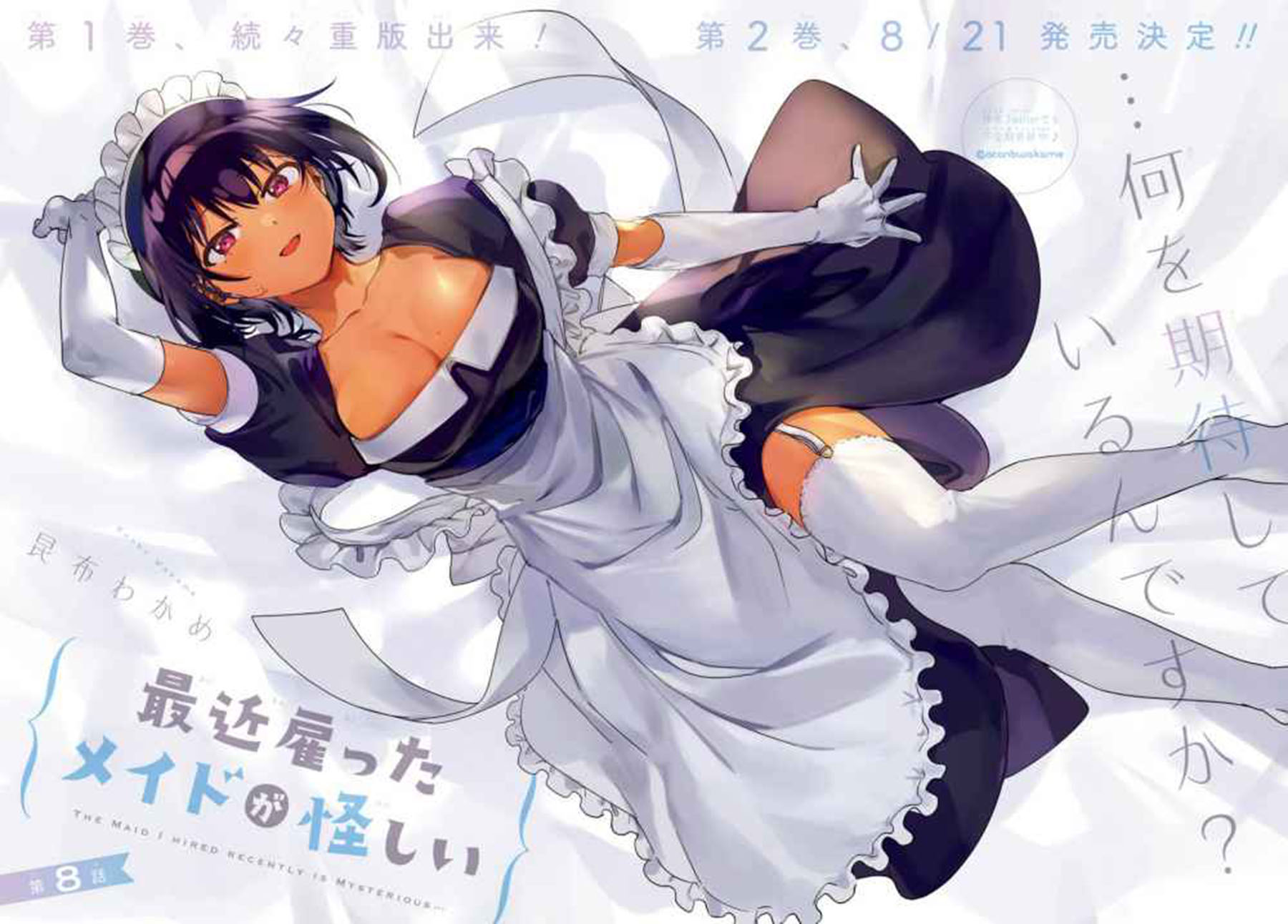 My Recently Hired Maid Is Suspicious (Serialization)